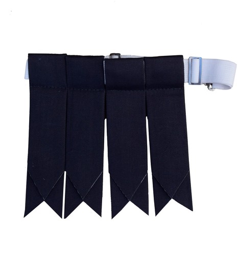 Kilt flash scottish - kilt, color